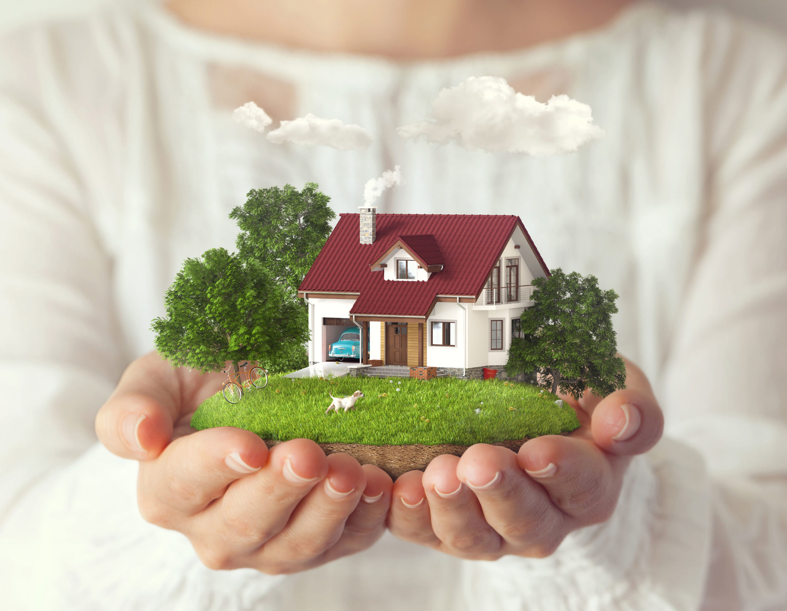 Dream house